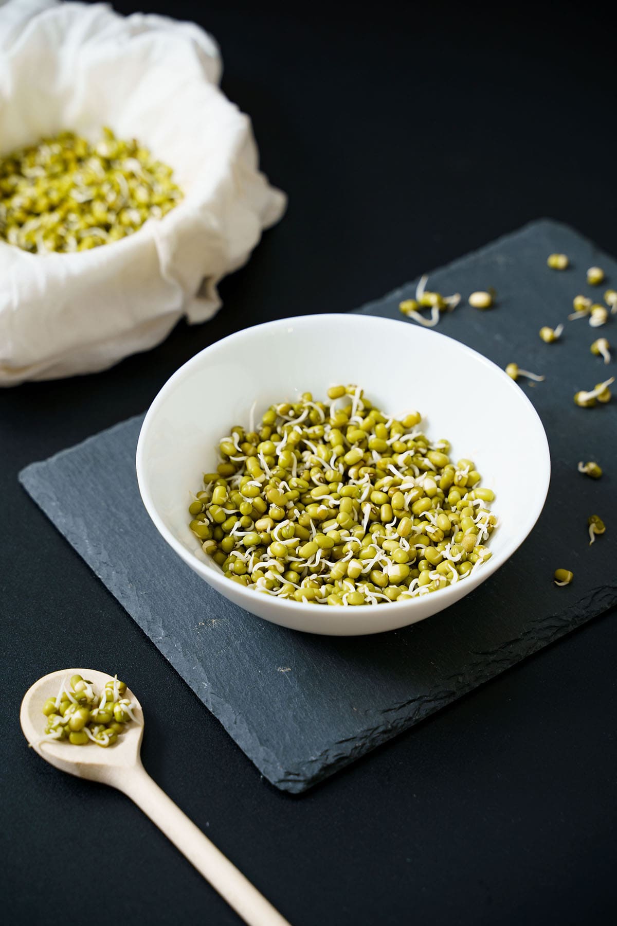 mung bean sprouts in a white bowl placed on dark gray slate board